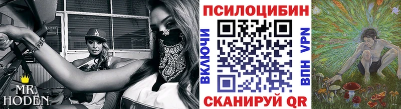 ссылка на мегу вход  Шагонар  Галлюциногенные грибы Magic Shrooms 